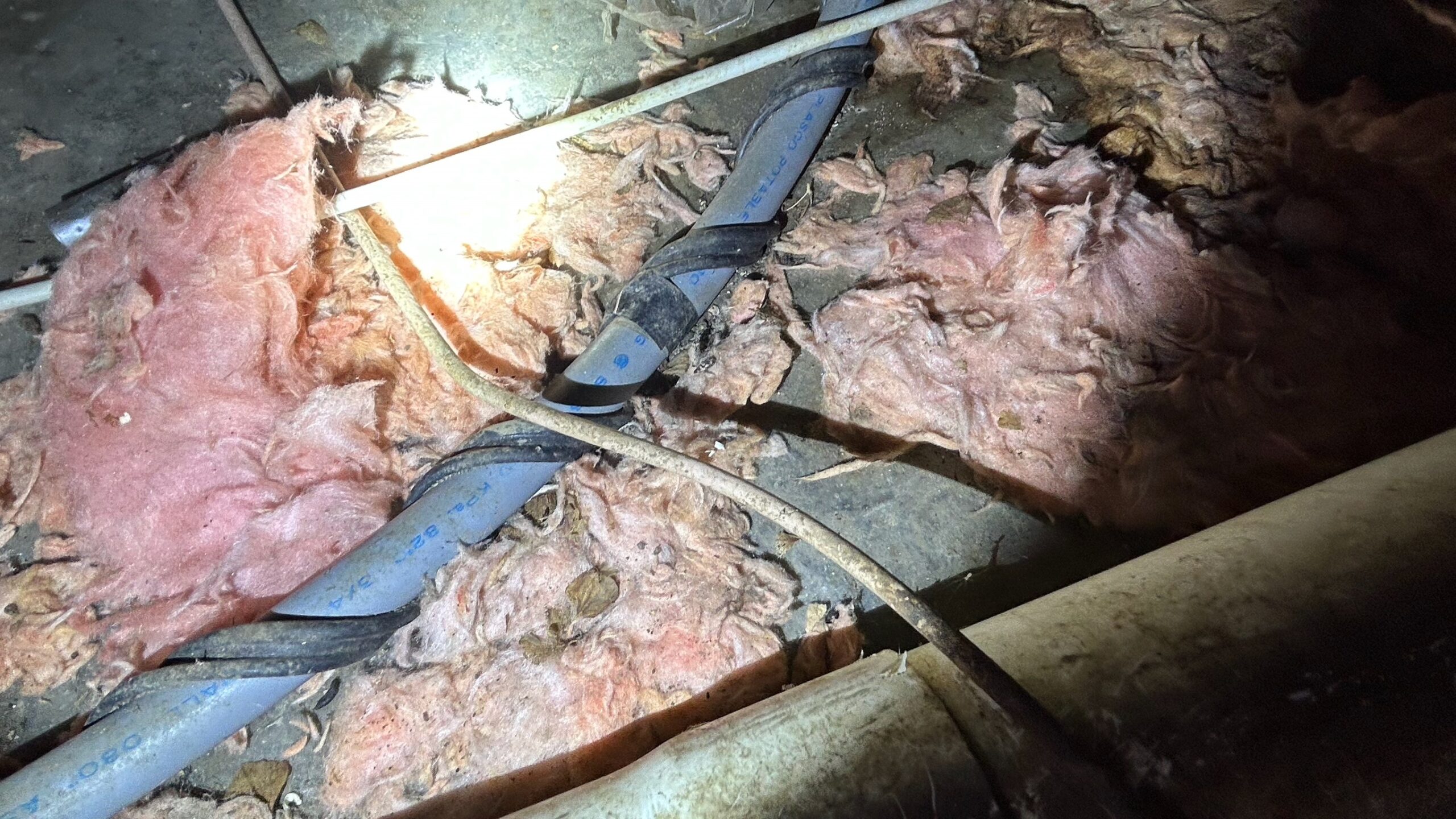 Poly B pipe with heat tape under mobile home crawlspace in Victoria BC