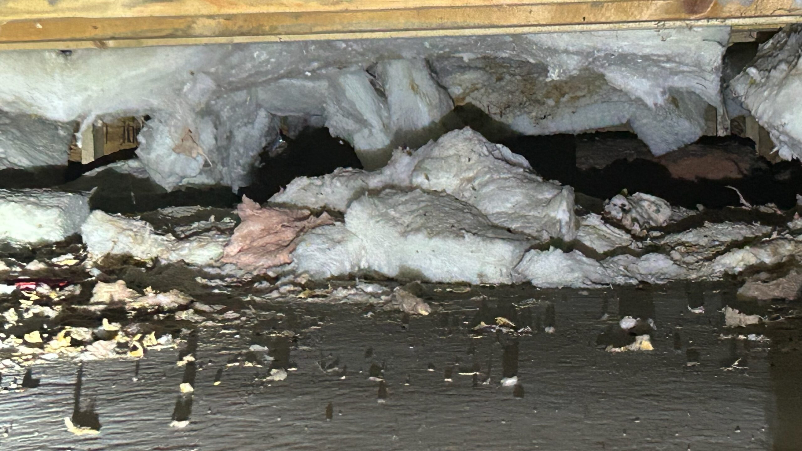 Torn belly wrap and insulation under mobile home crawlspace in Victoria BC exposing pipes and framing