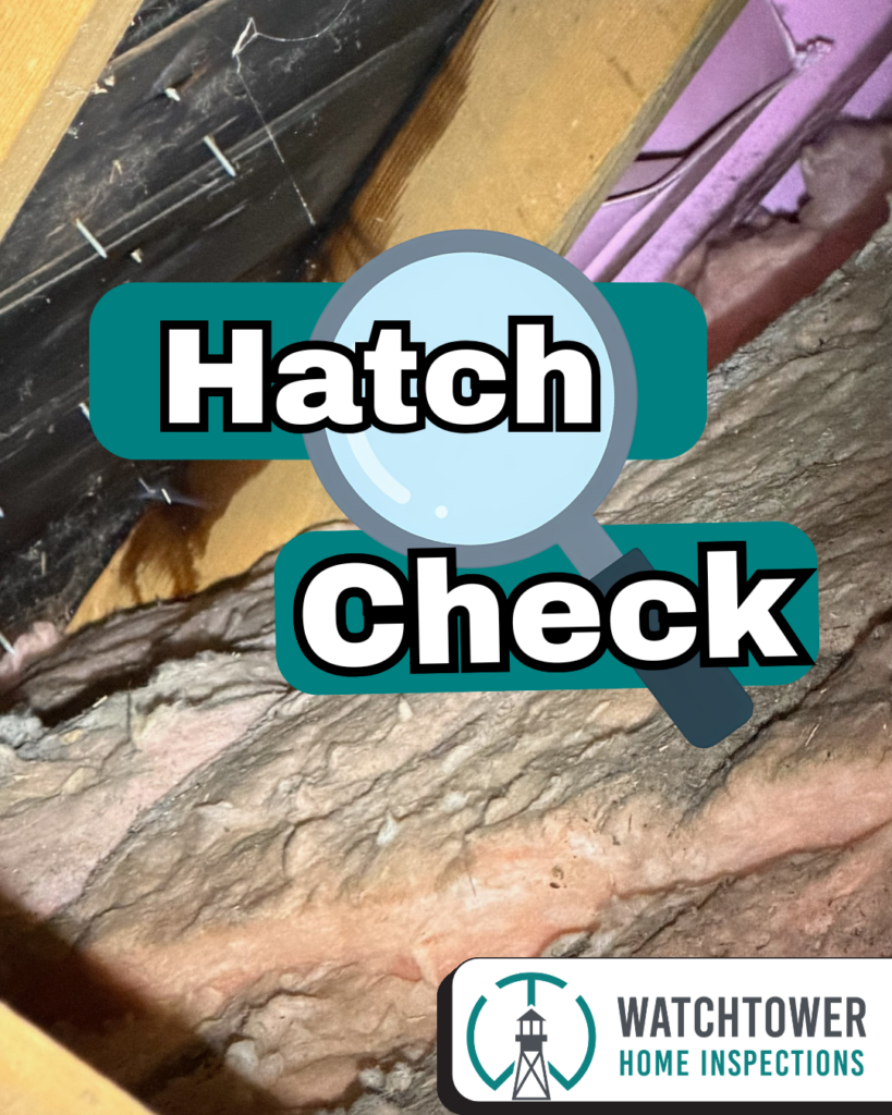 Attic area showing signs of moisture staining and active roof leak near opening during Home Inspection in Victoria BC