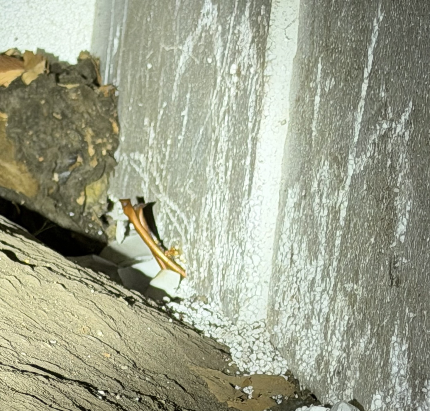 Capped copper oil line exiting foundation wall indicating previous oil heating system in Victoria BC home