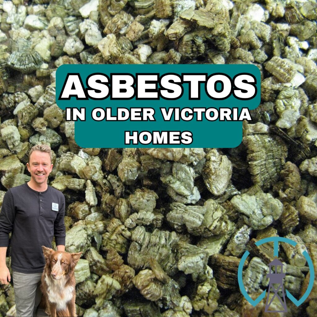 Asbestos in older Victoria homes article cover featuring Mitchell Cunningham, his dog, vermiculite texture, and Watchtower branding